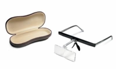 Eyeglass Holder and Spectacle Loupes